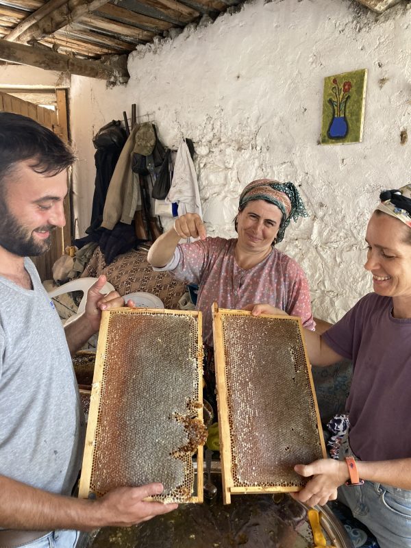 Karışık Bahar Balı - Görsel 4