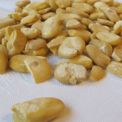 Ayıklanmış Kuru Bakla (İç Bakla)