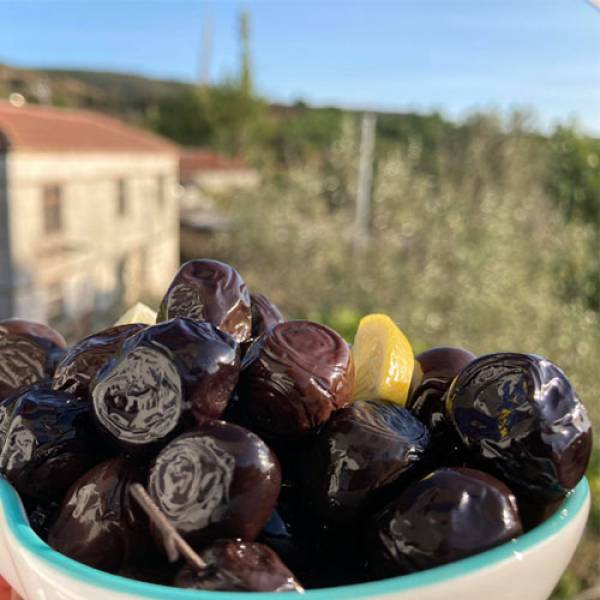 Siyah Zeytin "Teneke Sele"