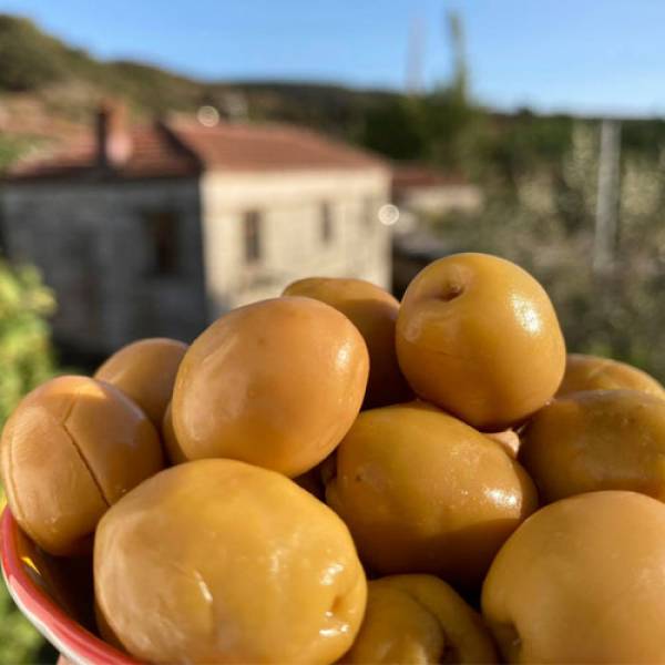 Yeşil Zeytin "Altın Çizik"