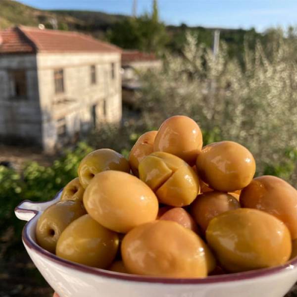 Yeşil Zeytin "Alyanak Kırma"